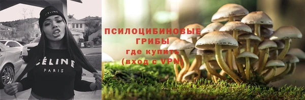 тгк Алексеевка