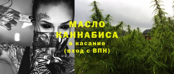 дмт Алексин