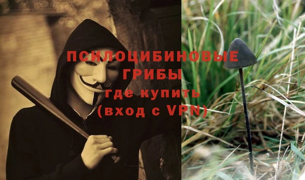 дмт Алексин